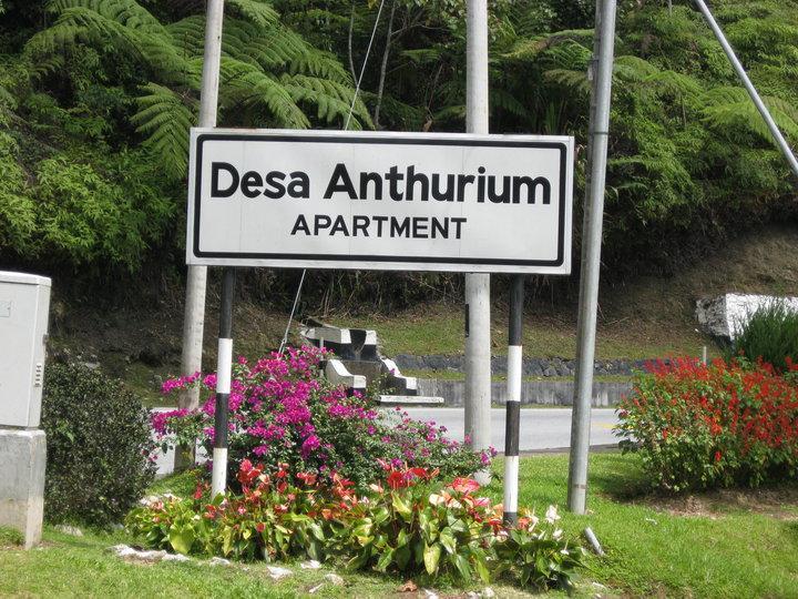 Sa Apartments @ Desa Anthurium Cameron Highlands Exterior photo